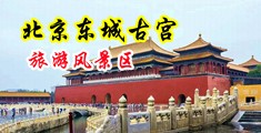 操逼免费视频无码中国北京-东城古宫旅游风景区